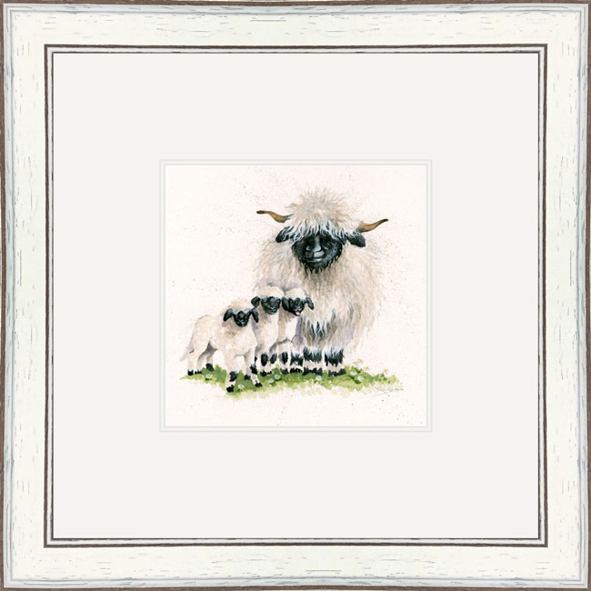 Happy Valais (Valais Sheep) 