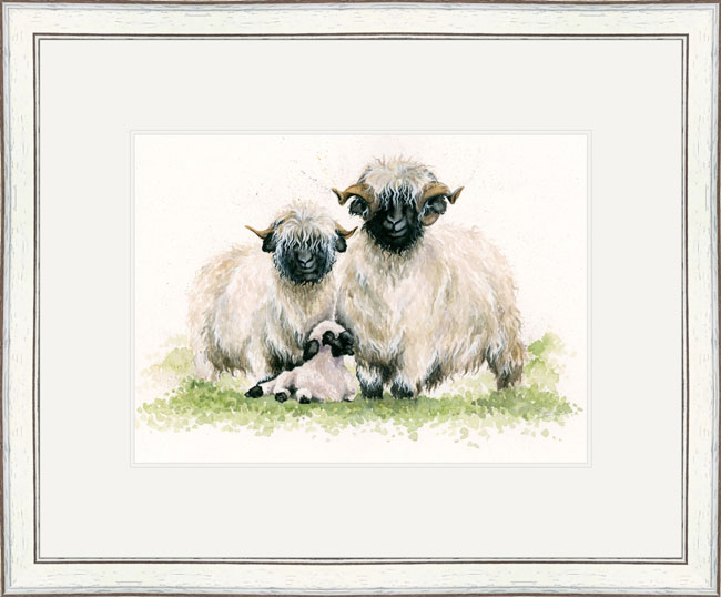 Ewe Me and Him (Valais Sheep) 