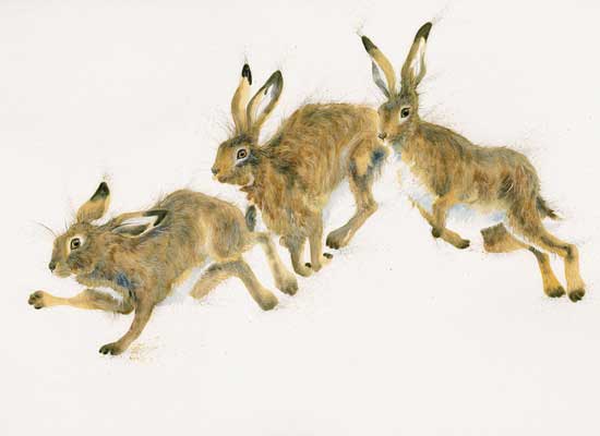 The Chase (Hares) - LGE