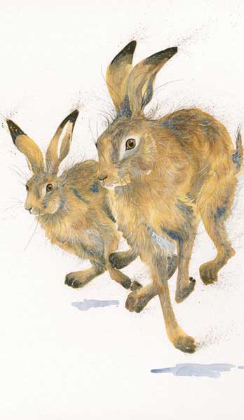Going For Gold (Hares)