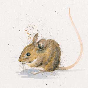 Nibbles (Mouse) 