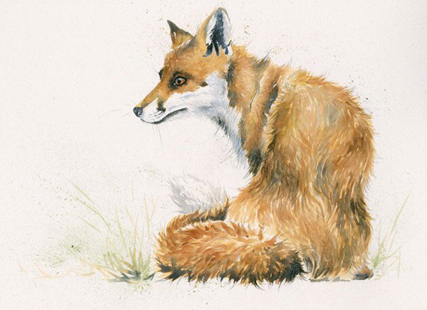 Vixen (Fox) - LGE 