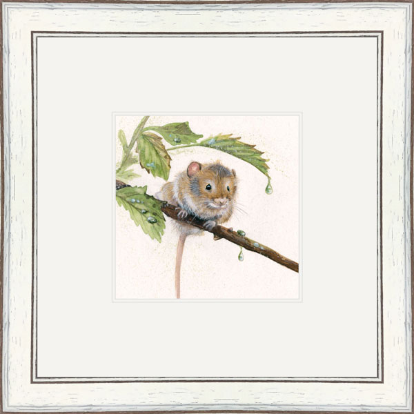 April Showers - Harvest Mouse 