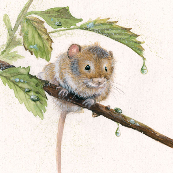 April Showers - Harvest Mouse 