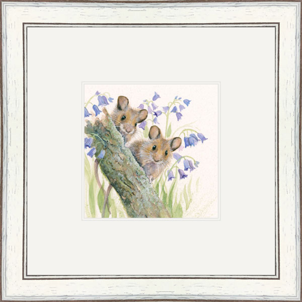 Bluebells - Harvest Mice 