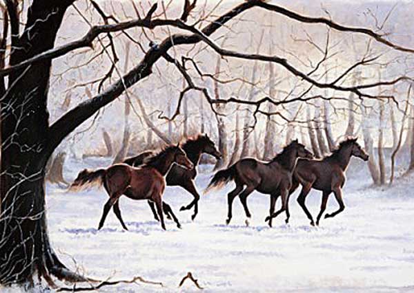 Winter Gallop - Caroline Cook 