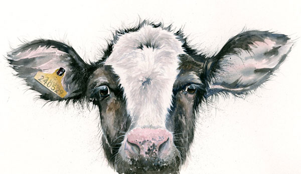 Ears Me Number (Cow) - LGE