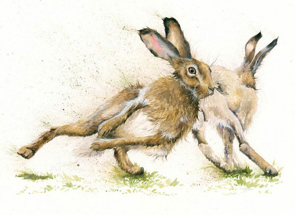 Hare Racing (Hares) - LGE 