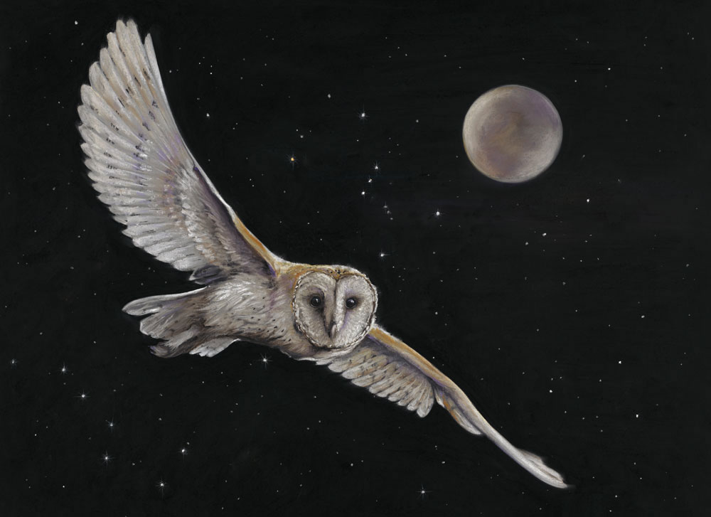 Hunter's Moon - Owl 