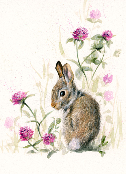 In The Pink - Leveret 