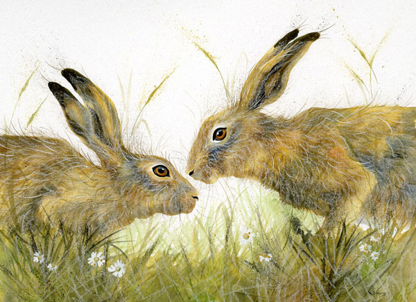 Love Is In The Hare (Hares) - LGE 