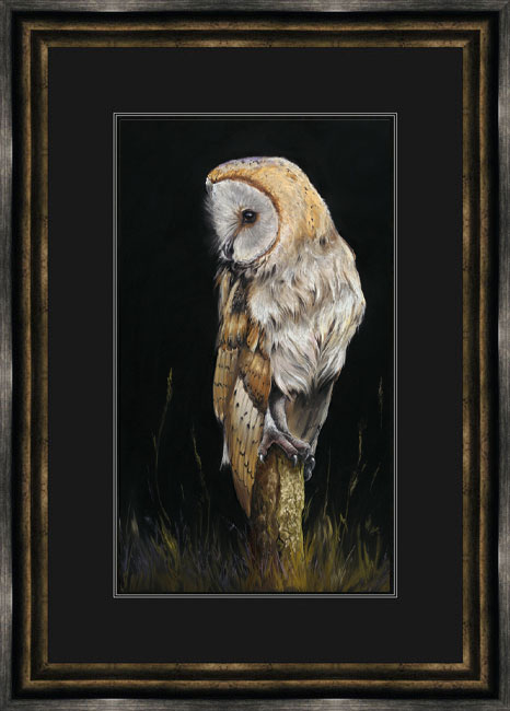  Last Post (Barn Owl) 