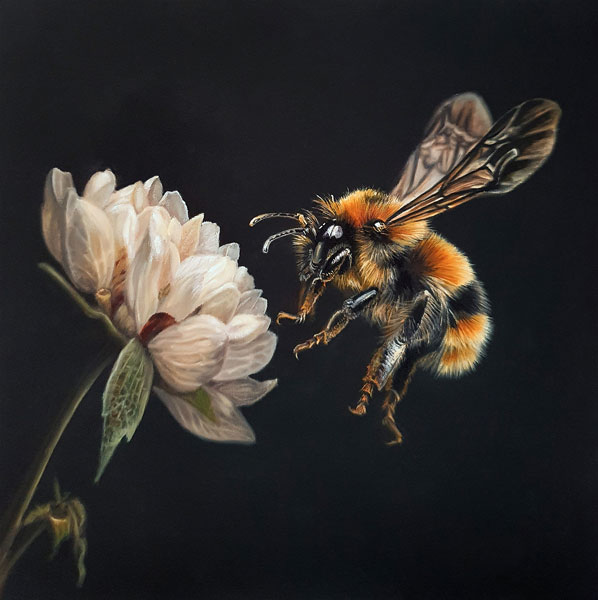 The Pollinator - Bee 