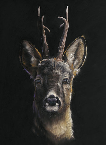 Roe Call - Roe Deer 