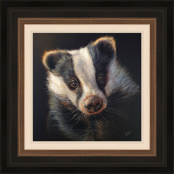 The Young Explorer - Badger 