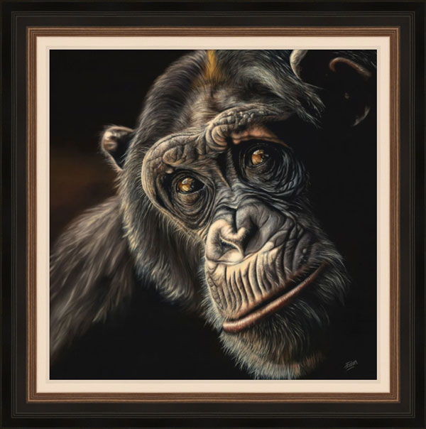 Reflection - Chimp 