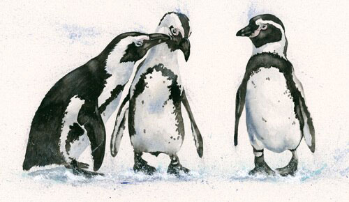 Two's Company (Penguins) 