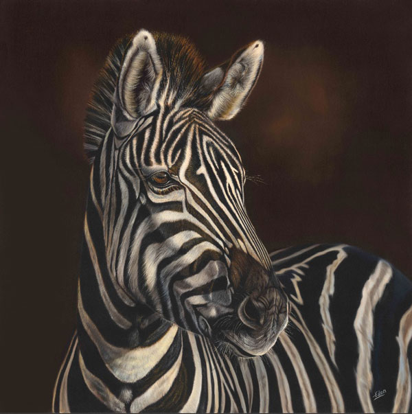 Zuri - Zebra 