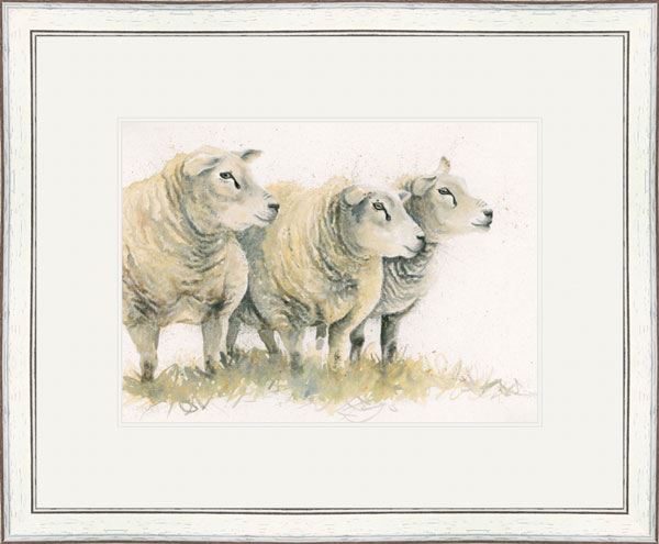 Dutch Courage (Texel Sheep) 
