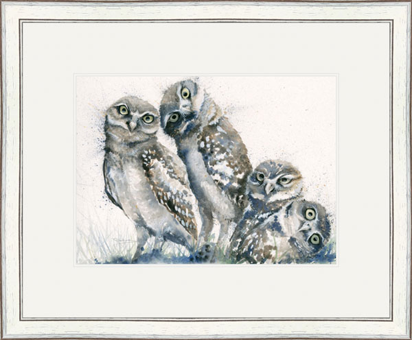 A Family Portrait (Owls)