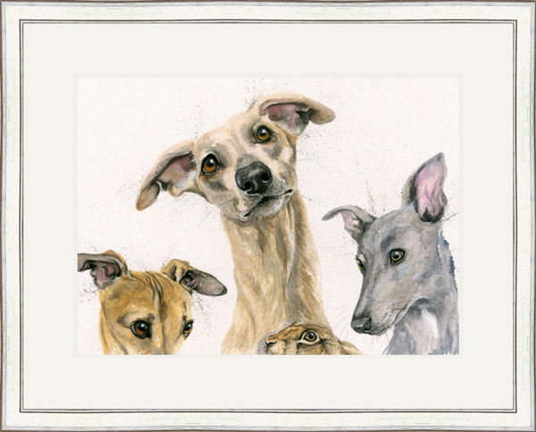 Hare of The Dog (Whippets)