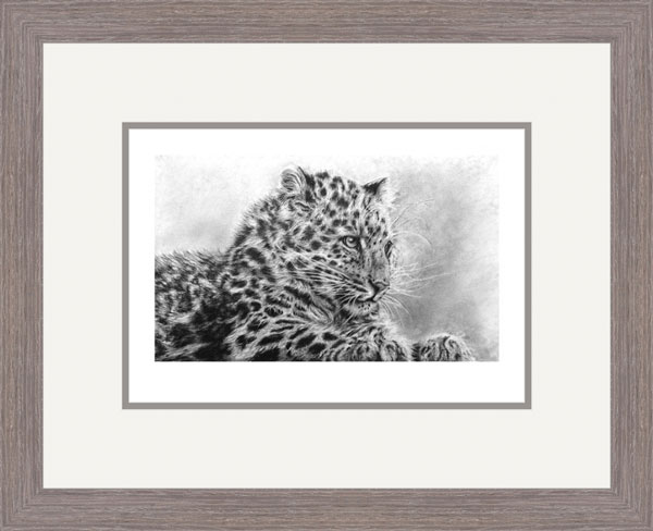 Mist of Amur (Amur Leopard) 