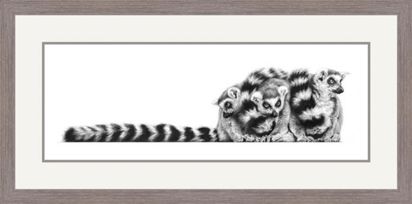 Tied Up In Knots (Lemur) 