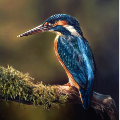 Majesty - Kingfisher
