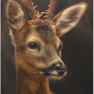 Fleeting - Deer
