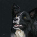 Kay Johns - Black Background
