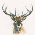 Stags
