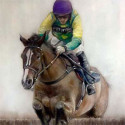 Horse Racing
