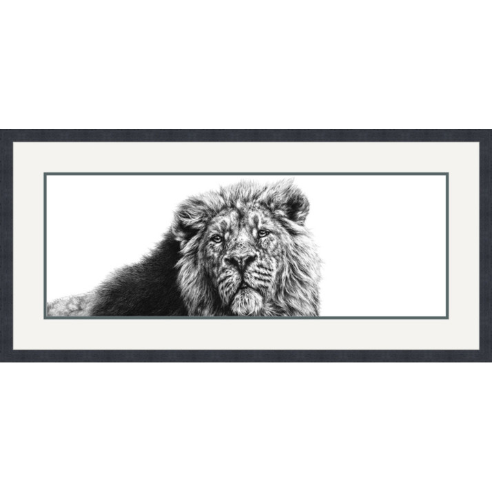 SERENITY OF THE SOVEREIGN (ASIATIC LION)