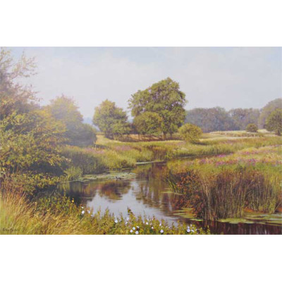 Quiet Waters - Peter Barker