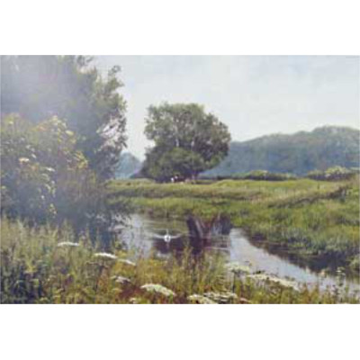 Summer Cruise - Peter Barker