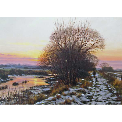 Back Home At Sunset - Peter Barker