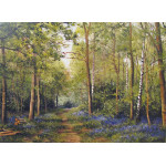 Bluebells In Spring - Peter Barker