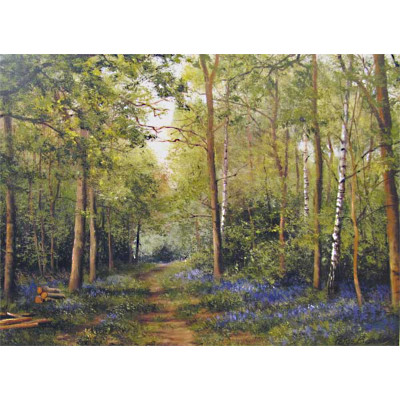 Bluebells In Spring - Peter Barker
