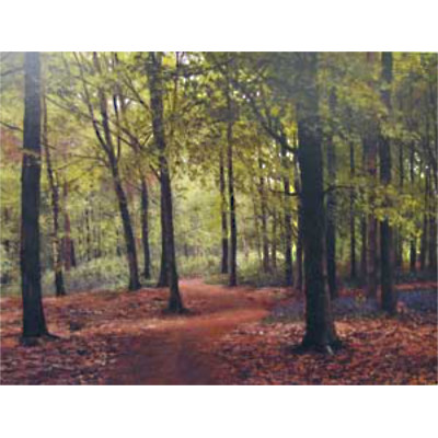 Southey Wood Beeches - Peter Barker