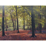 Southey Wood Beeches - Peter Barker