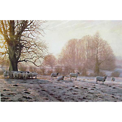 Gold & Silver - Peter Barker