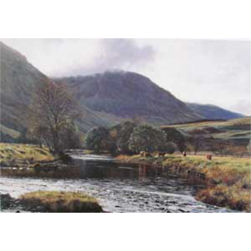 Highland Cattle, River Lyon - Peter Barker