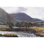 Highland Cattle, River Lyon - Peter Barker