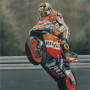 Champion Moto GP 2003 - Rod Organ