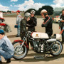 Classic Paddock - Rod Organ