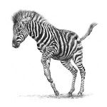 Dancer in Stripes (Lge)