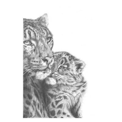Gentle Touch (Large)