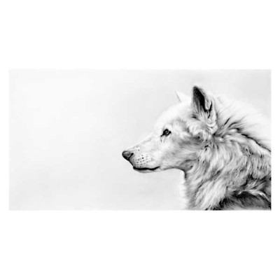 Endless Winter (Wolf)