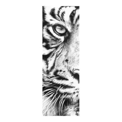 Eye of Sumatra - Sumatran Tiger