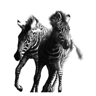 Running Wild